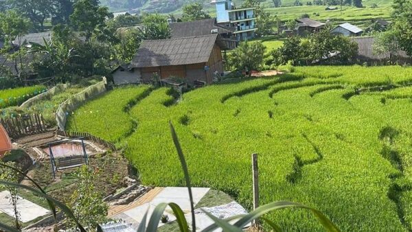 tour-du-lich-sapa-4-ngay-3-dem