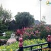 tour-hạ-long-5-ngày-4-đêm