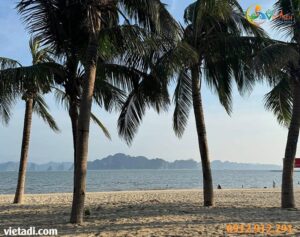 Tour Hà Nội Sapa Hạ Long Ninh Bình