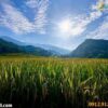 tour-sapa-3-ngay-2-dem