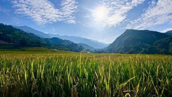 tour-sapa-3-ngay-2-dem