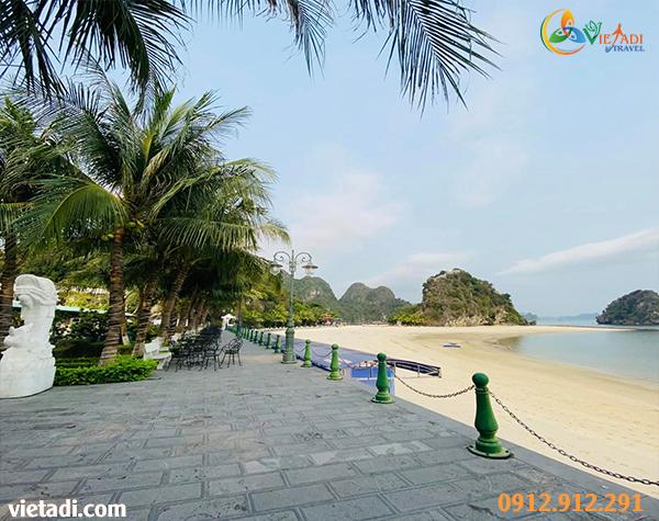 vịnh bái tử long