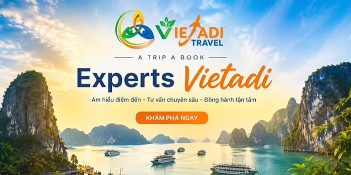 Đội ngũ Vietadi Travel